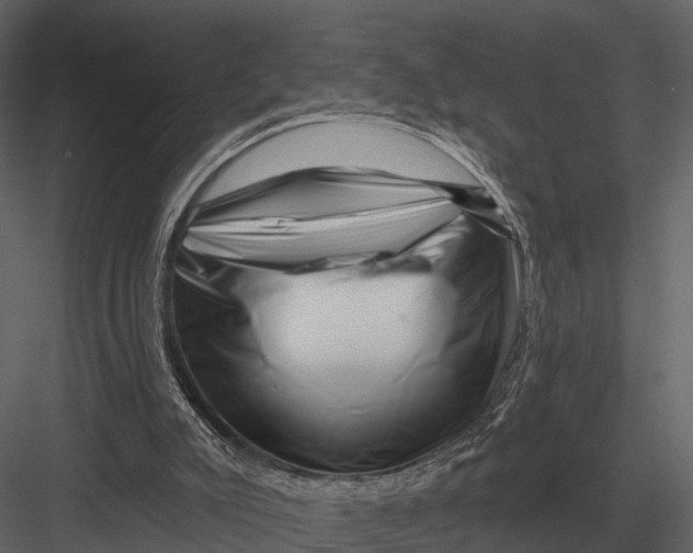 X0000082930007200702222232