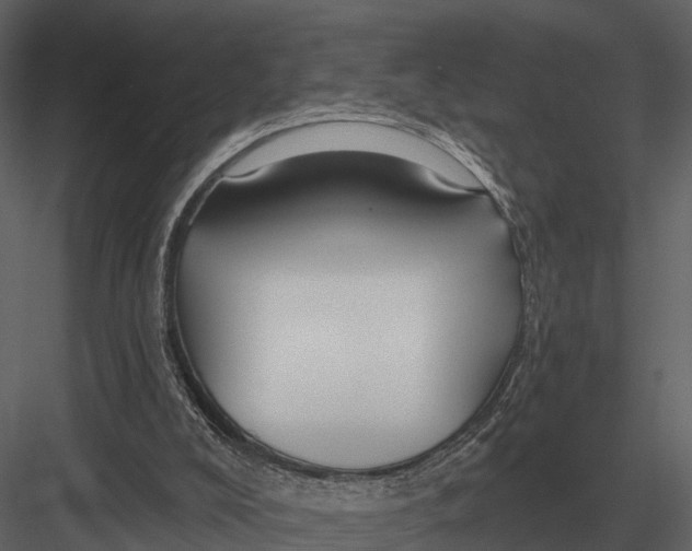 X0000082930008200702222232