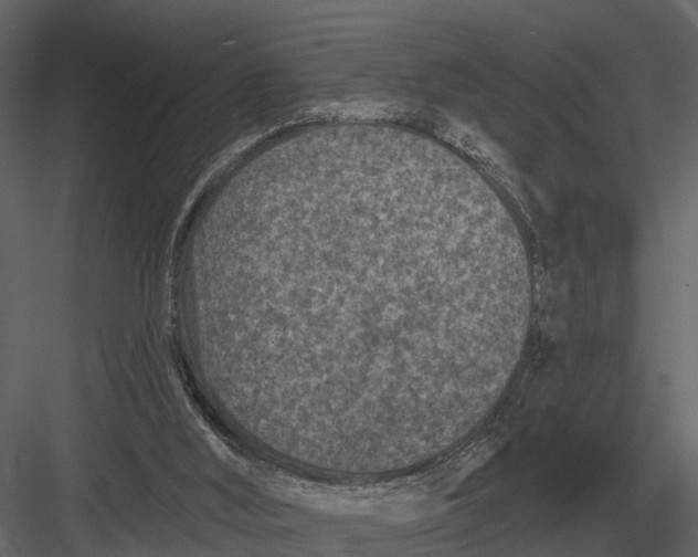 X0000082930012200702222232