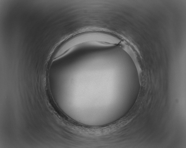 X0000082930015200702222232
