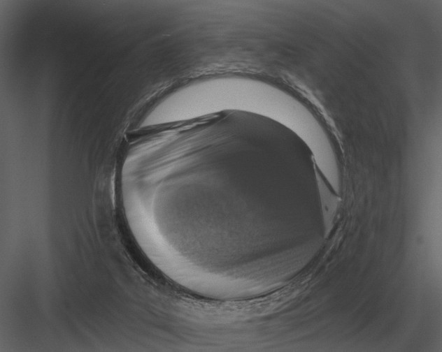 X0000082930019200702222231