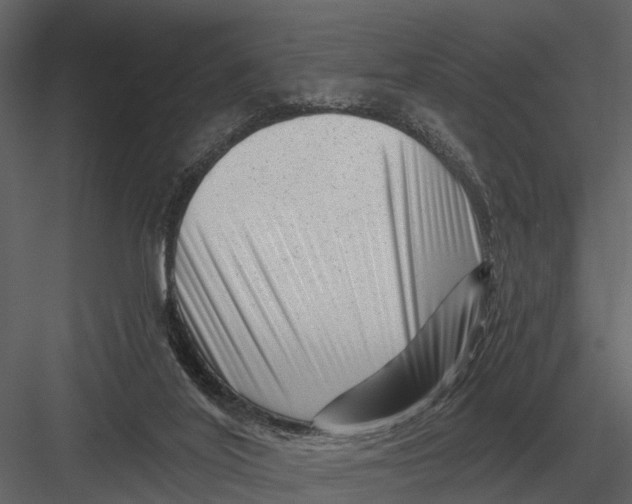 X0000082930020200702222231