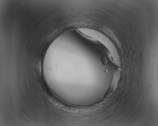 X0000082930021200702222231