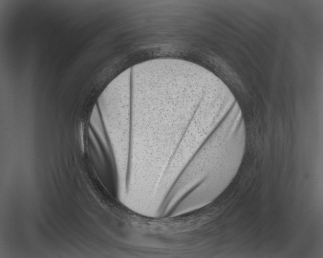 X0000082930022200702222231