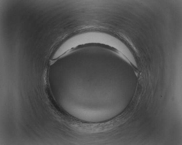 X0000082930023200702222231