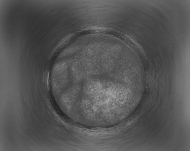 X0000082930024200702222231