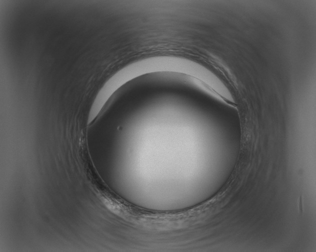 X0000082930025200702222231