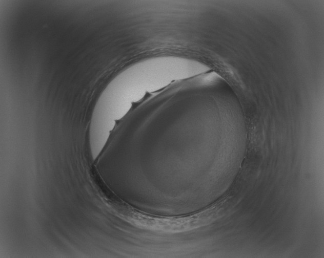 X0000082930027200702222231