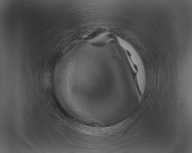 X0000082930035200702222231