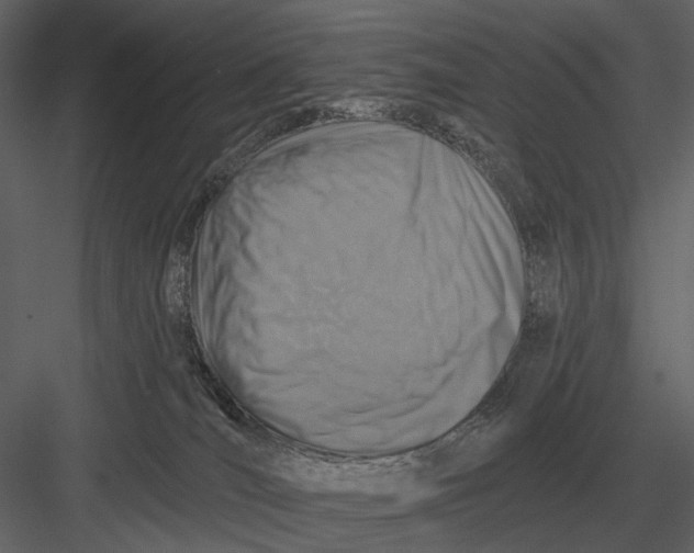 X0000082930036200702222231