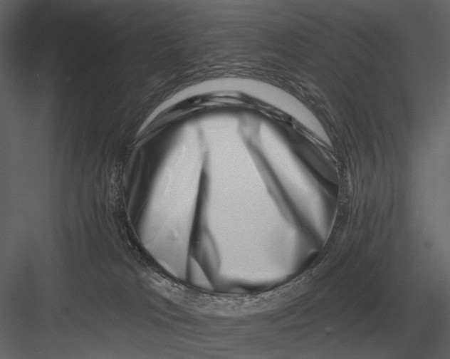 X0000082930037200702222231