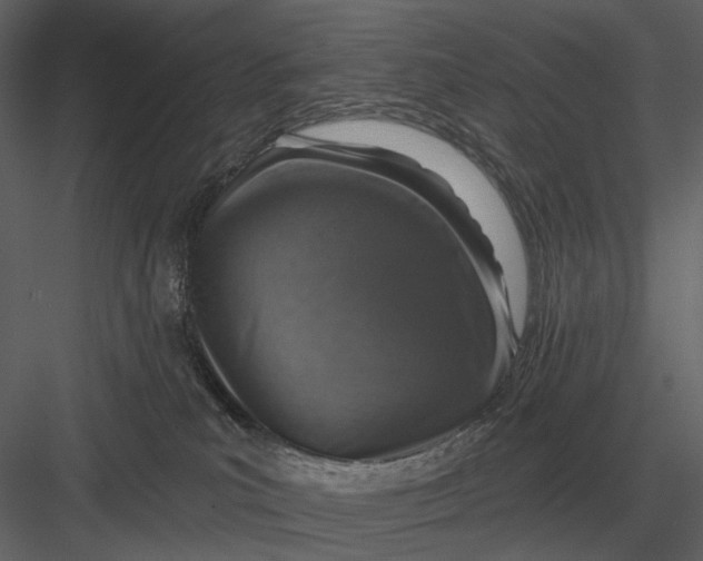 X0000082930039200702222231