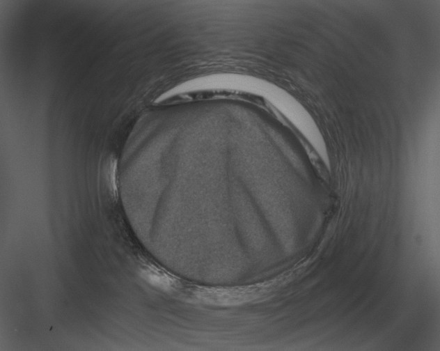 X0000082930041200702222231
