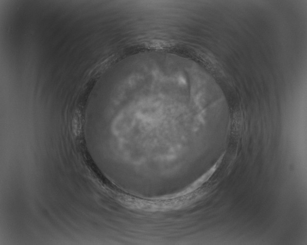 X0000082930043200702222231