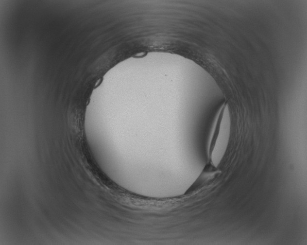 X0000082930044200702222231