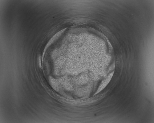 X0000082930046200702222231