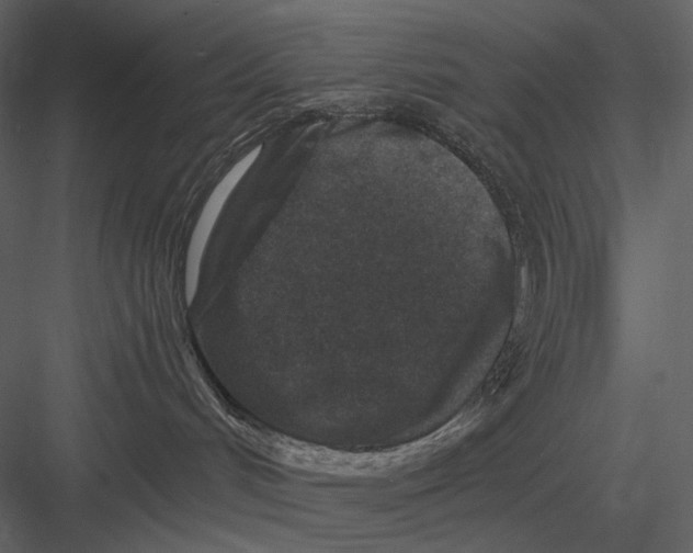 X0000082930048200702222231
