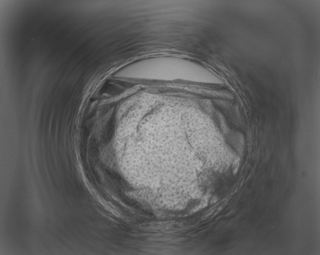 X0000082930049200702222230