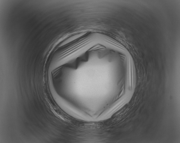 X0000082930050200702222230