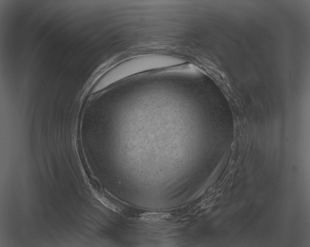 X0000082930051200702222230