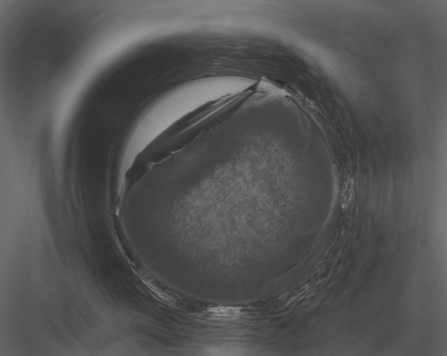 X0000082930052200702222230