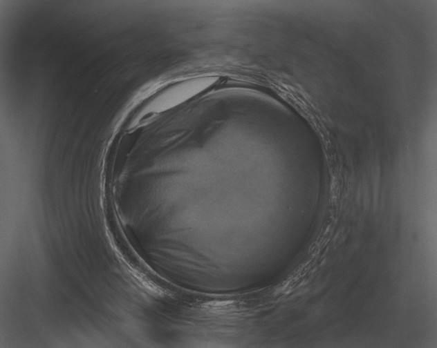 X0000082930054200702222230