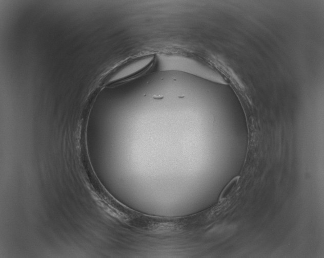 X0000082930058200702222230