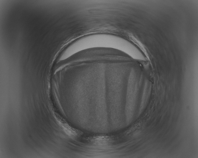 X0000082930059200702222230