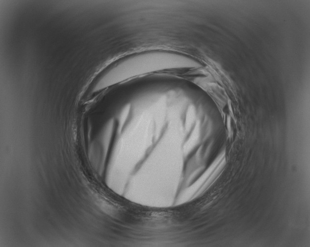 X0000082930060200702222230