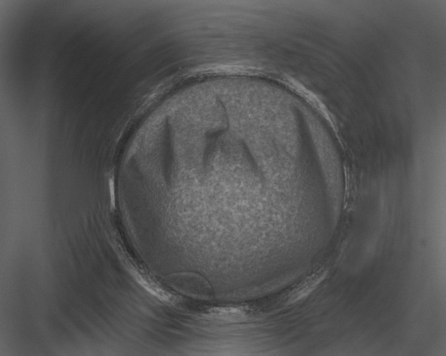 X0000082930061200702222230