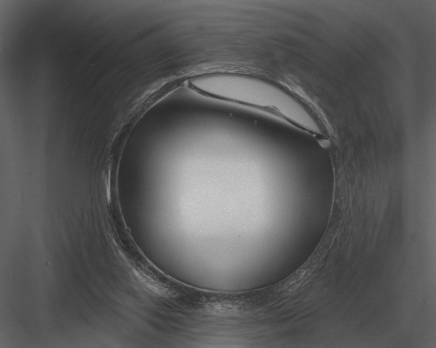 X0000082930062200702222230