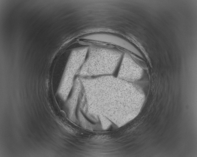 X0000082930063200702222230