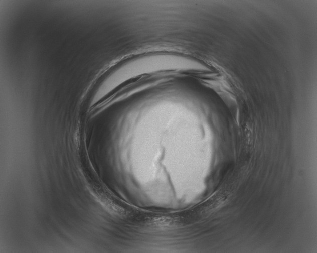 X0000082930064200702222230