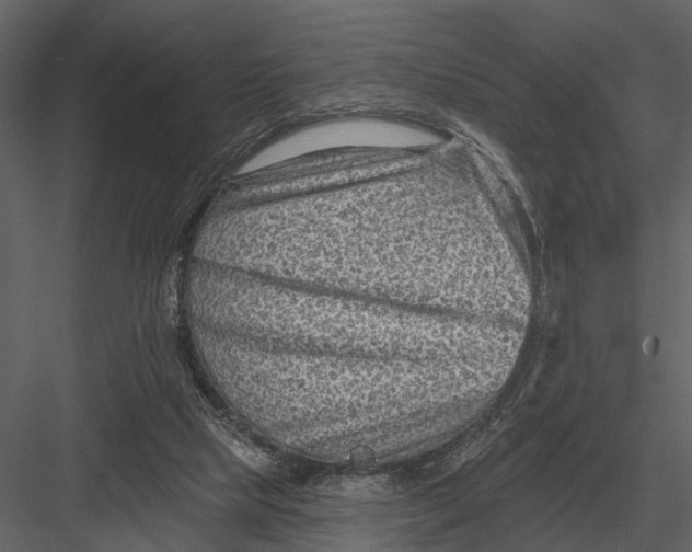 X0000082930065200702222230