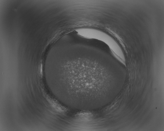X0000082930067200702222230