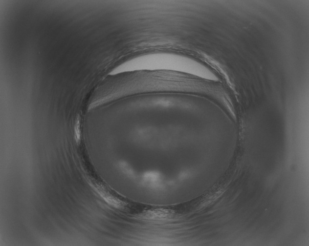 X0000082930069200702222230