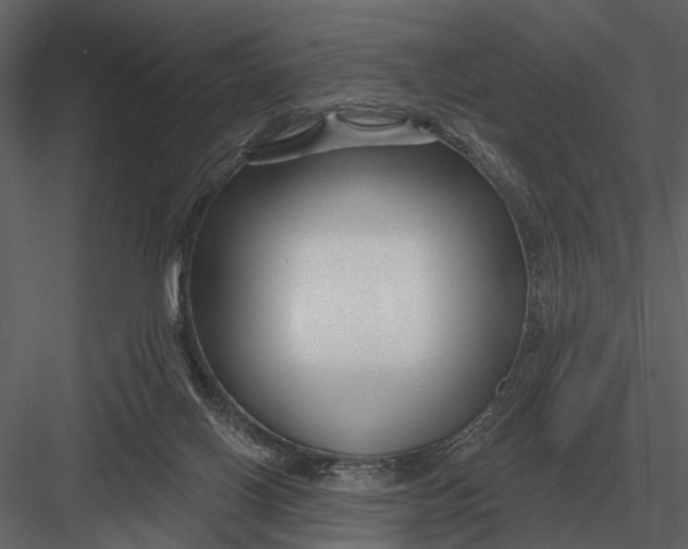 X0000082930070200702222230