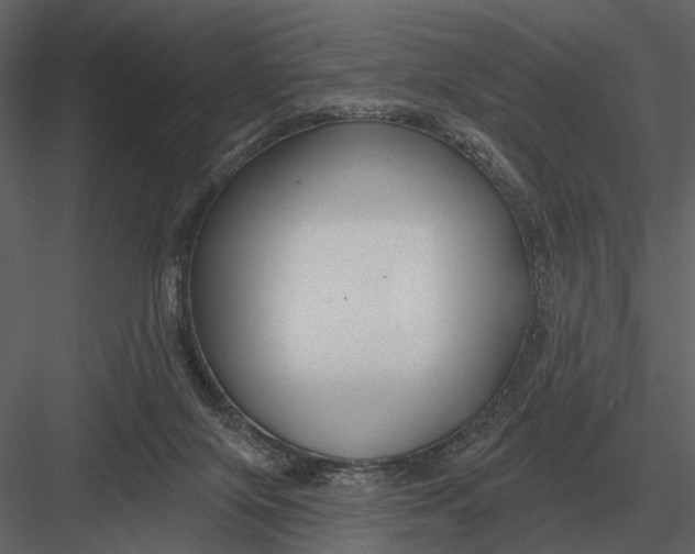 X0000082930071200702222230