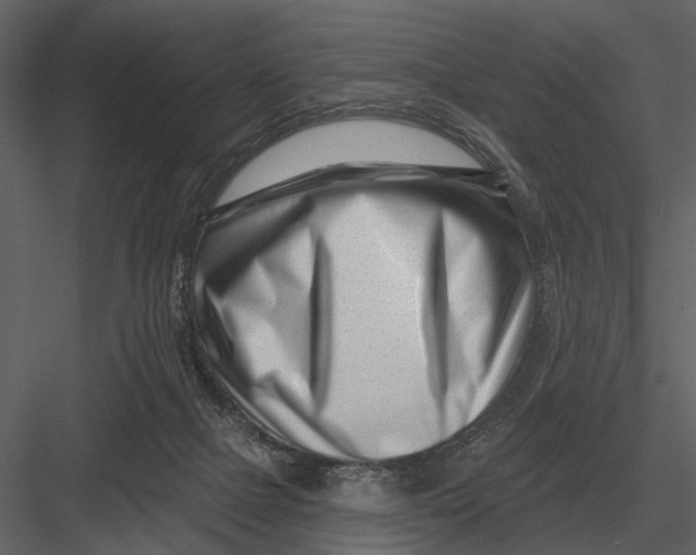 X0000082930073200702222231