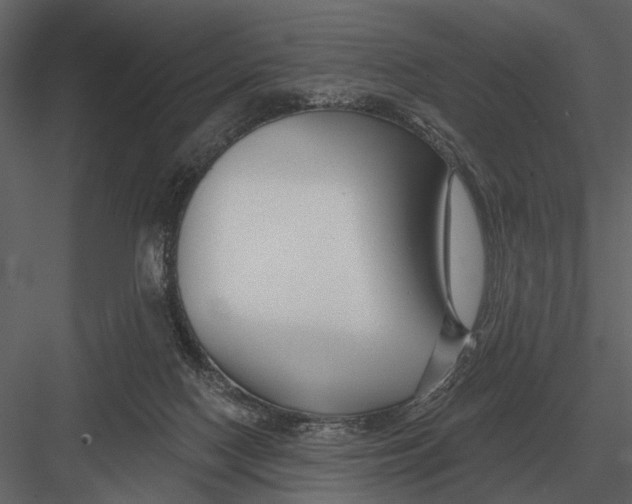 X0000082930074200702222231