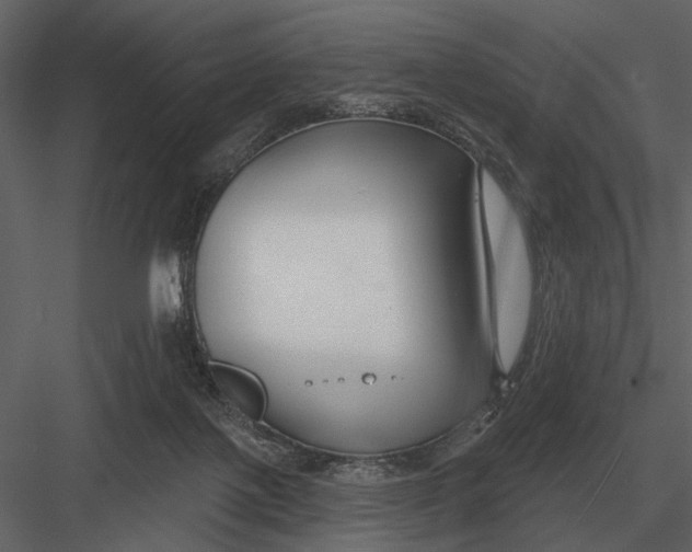 X0000082930075200702222231