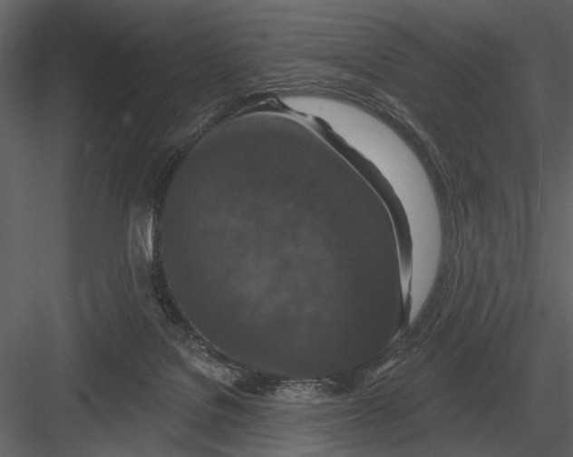 X0000082930076200702222231