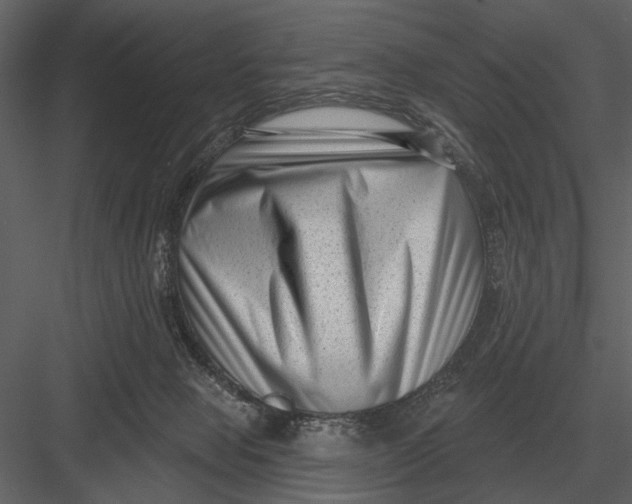 X0000082930077200702222231