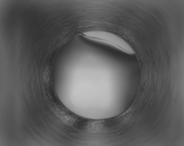 X0000082930078200702222231