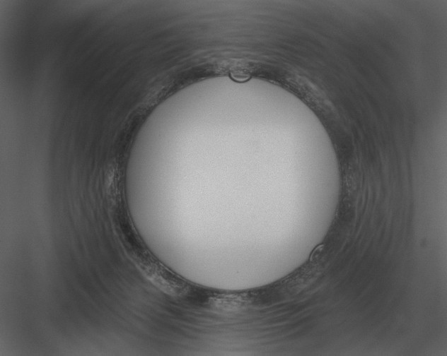 X0000082930079200702222231