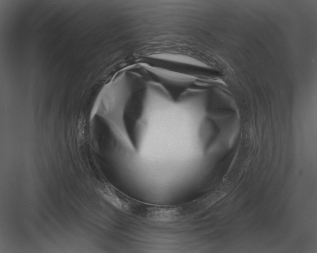 X0000082930081200702222231