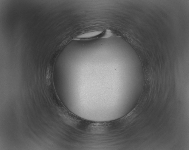 X0000082930082200702222231