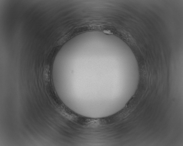 X0000082930083200702222231