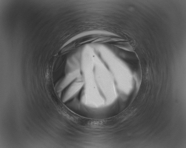 X0000082930084200702222231