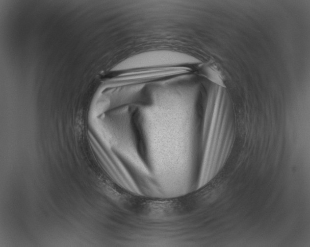 X0000082930085200702222231